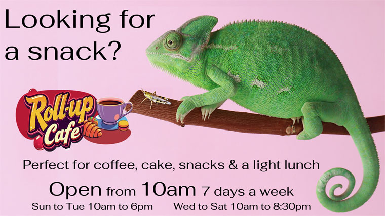 ../img/Roll-up - Looking for a snack.jpg